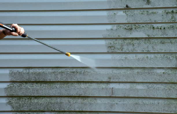Best Vinyl Siding Pressure Washing in Marion, TX